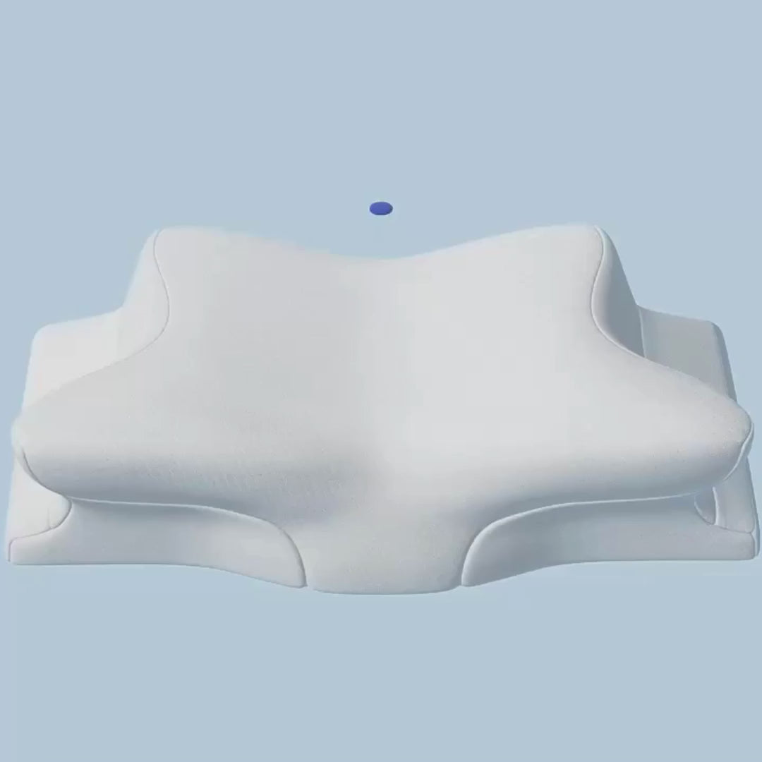 Charger la vidéo : 